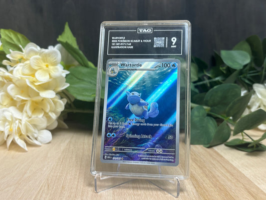 TAG 9 - Wartortle IR