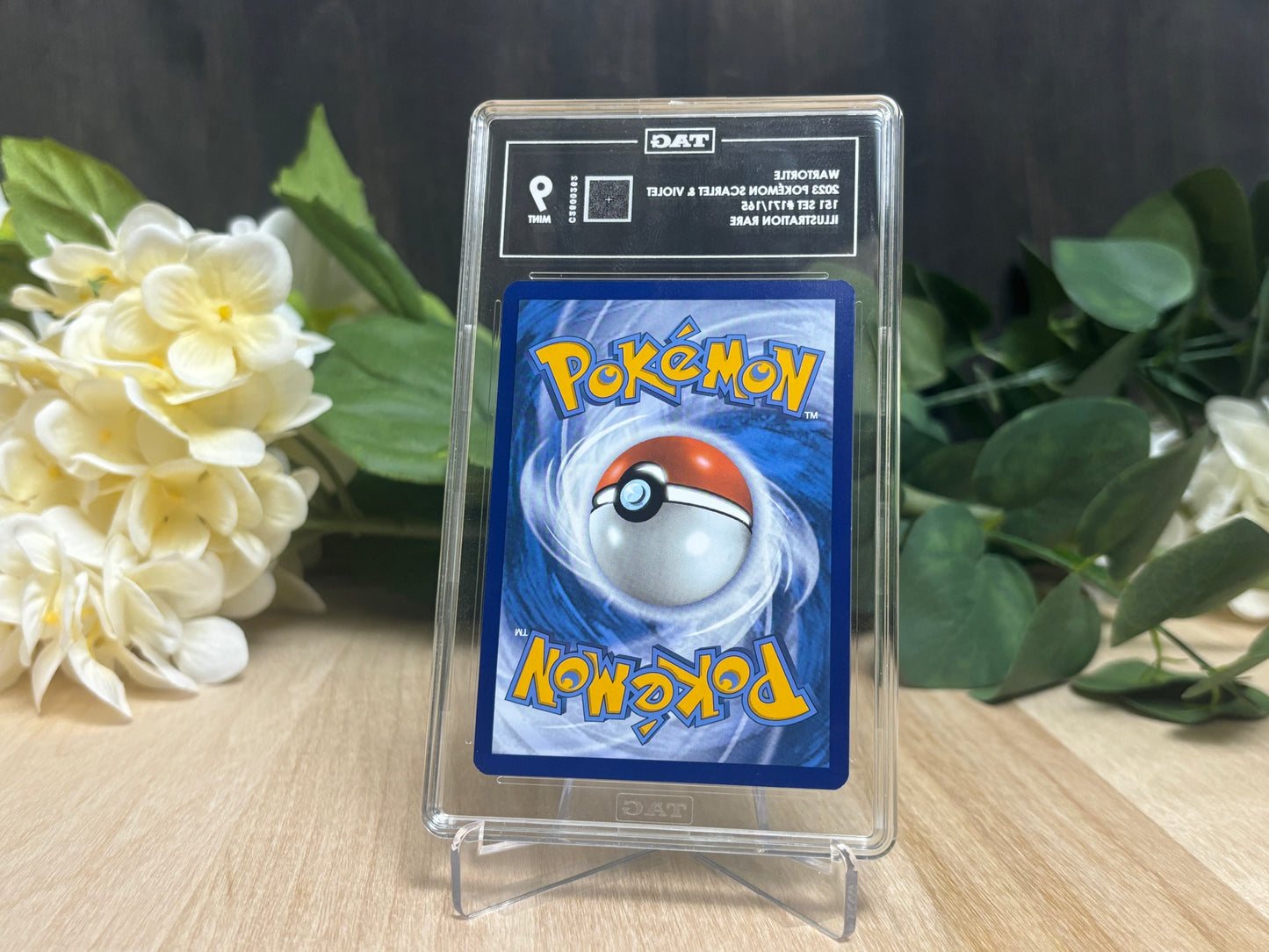 TAG 9 - Wartortle IR